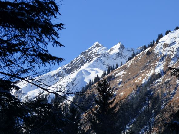 Allgäuer Alpen über dem Lechtal