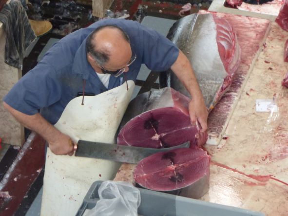 Thunfisch-Zerlegung im Fischmarkt