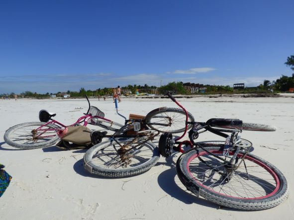 Radfahren am Meer - z.B. auf dem Ostseeküsten-Radweg.
