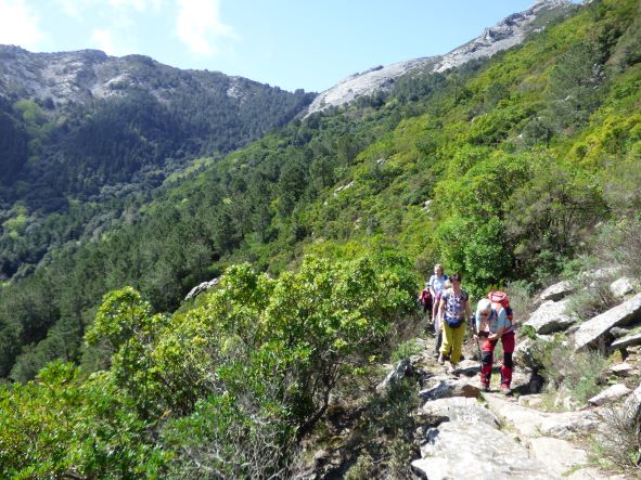 Elba besteht aus Wald, Macchia und Granit ...