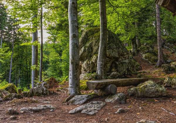 Felsen und Bäume charakterisieren den Bayerischen Wald