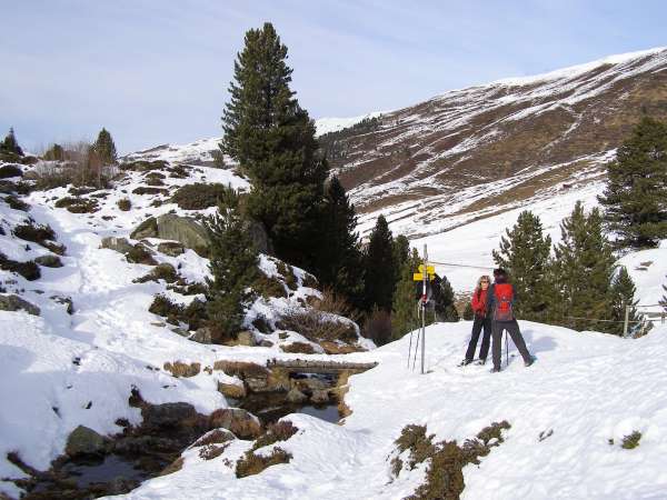 Alpen oder Mittelgebirge: Schneeschuhwandern geht auch bei wenig Schnee