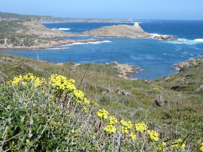 Buchten und Inseln an Menorcas Nordküste