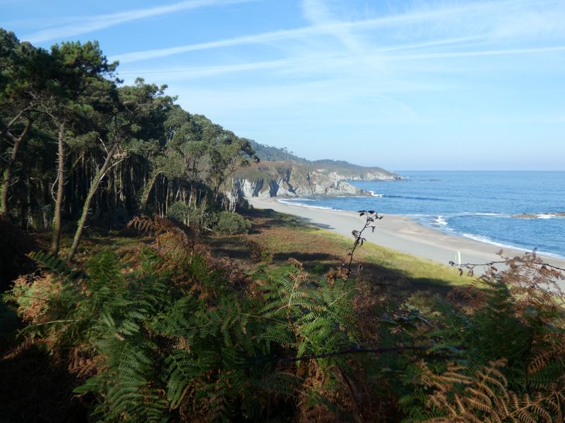 Playa Frexulfe: Strand zwischen Puerto de Vega und Navia