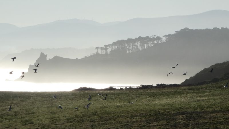 Morgenlicht auf dem Weg zur Playa Barayu an der Küste Asturiens