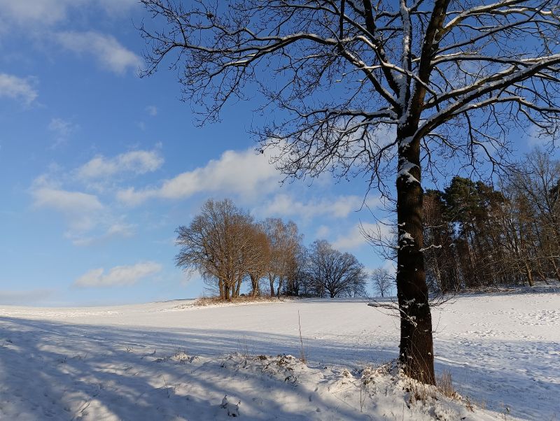 Winterurlaub in Deutschland