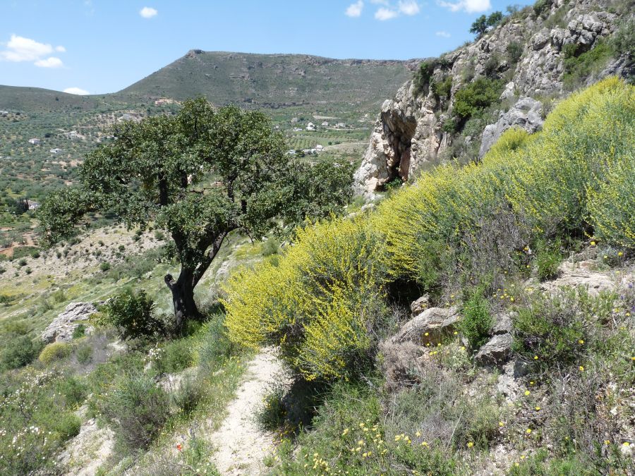 Spanien:  Die schönsten Wandergebiete Europas im Frühling und im Winter