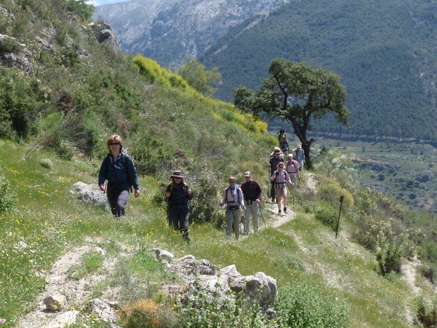 Spanien: Im Frühling sind auch die Trockengebiete grün.