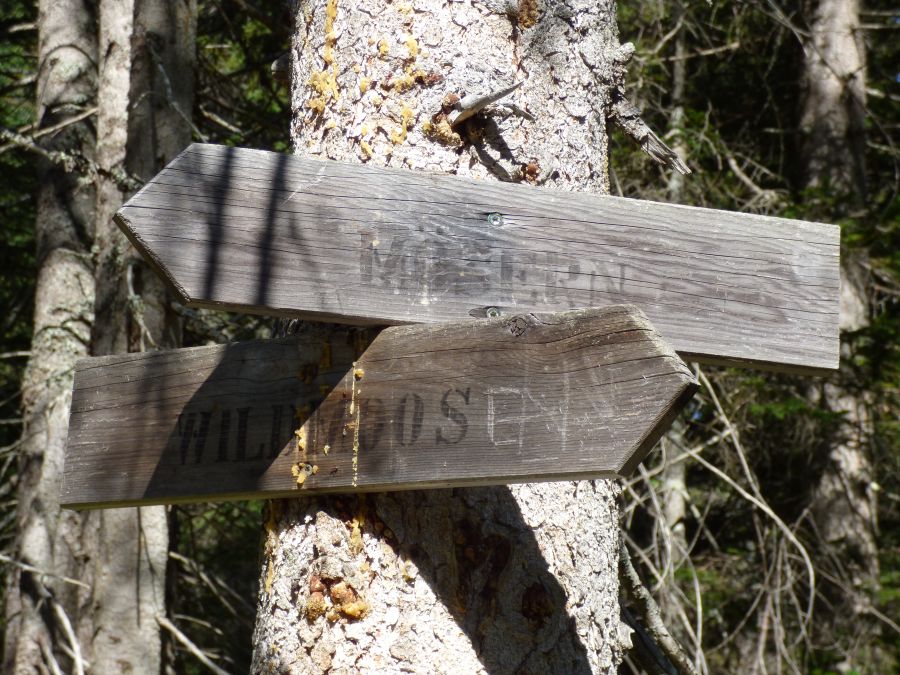 Wegweiser zum Wildmoos ... die meisten sind aber neuer.