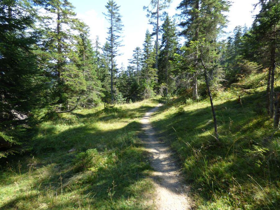 Auf idyllischen Schotterpfaden nach Seefeld.