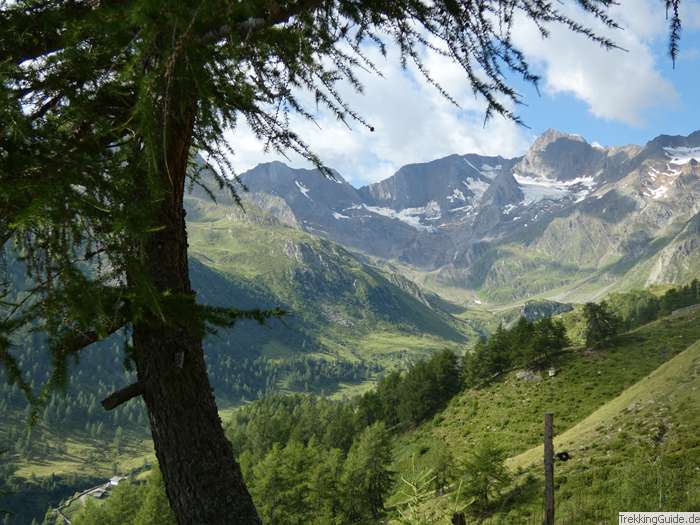 Österreich bietet auch moderate Bergwanderungen in idyllischer Landschaft